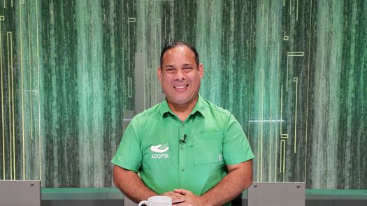 Manglares en alerta: Guido Berguido advierte sobre triple crisis ambiental Manglares en alerta: Guido Berguido advierte sobre triple crisis ambiental