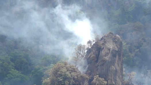 Krisly Quintero, director regional del Ministerio de Ambiente señaló que la extinción total del incendio fue gracias a la lluvia que cayó en este sector de Cerro Punta, Tierras Altas.