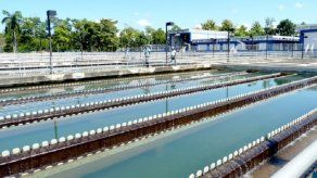 Agua de la planta de Chilibre no representa riesgo para la salud