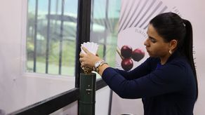 Los productores panameños sacaron lo mejor de lo mejor de su producción para presentarla ante el exigente paladar de 21 jueces nacionales, experimentados catadores en Best of Panama.