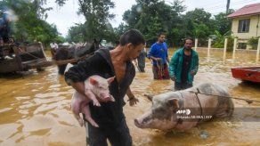 Eta deja al menos ocho muertos por derrumbes e inundaciones en Centroamérica