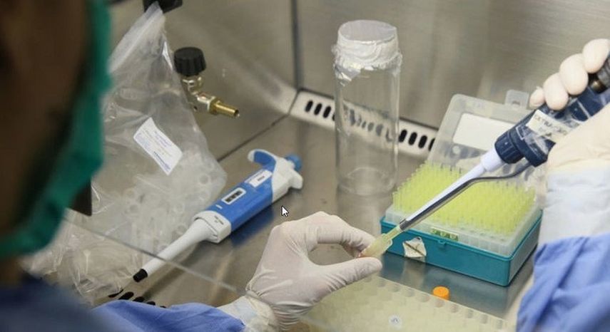 El Ministerio de Salud (Minsa), a través del Departamento de Epidemiología, reportó 221 casos confirmados del Virus Oropouche en las regiones de Darién, Panamá Este y Panamá Metro durante la semana 9 del año. El Ministerio de Salud (Minsa), a través del Departamento de Epidemiología, reportó 221 casos confirmados del Virus Oropouche en las regiones de Darién, Panamá Este y Panamá Metro durante la semana 9 del año.