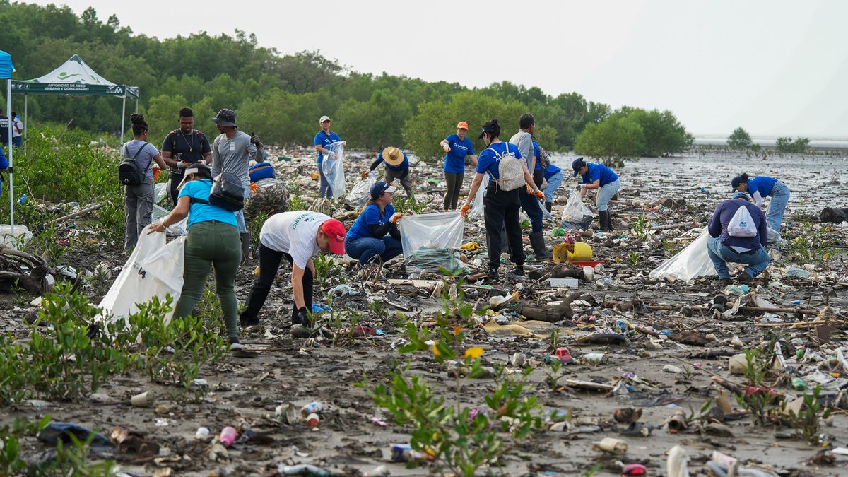 Jornada de recolección de basura en Costa del Este. Jornada de recolección de basura en Costa del Este.