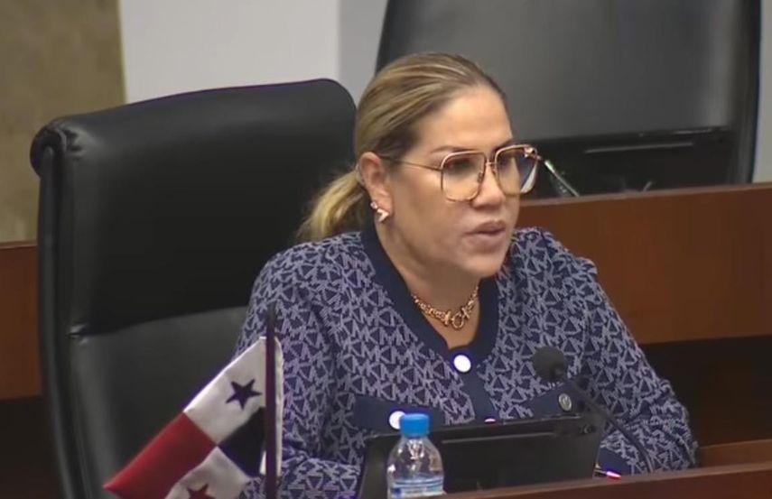 La diputada Shirley Castañedas sustentó la propuesta ante el pleno de la Asamblea Nacional. La diputada Shirley Castañedas sustentó la propuesta ante el pleno de la Asamblea Nacional.