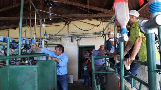 La presentación se realizó en un Día de Campo ante un grupo de productores de leche reunidos en Boquerón.