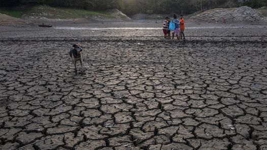 El Programa Mundial de Alimentos (PMA) de las Naciones Unidas dijo este martes que ante el pronóstico de sequía y un posible episodio de El Niño en el Corredor Seco centroamericano activó un plan de medidas tempranas o acciones anticipatorias.