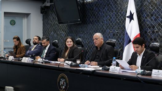 La propuesta fue prohijada en la Comisión de Gobierno de la Asamblea Nacional. La propuesta fue prohijada en la Comisión de Gobierno de la Asamblea Nacional.