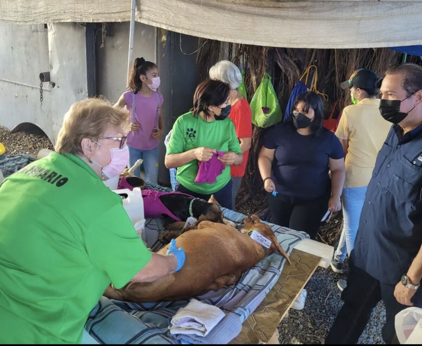 El&nbsp; Consejo Consultivo de Bienestar Animal en Chiriquí busca la concienciación y enviar mensajes principalmente a los niños