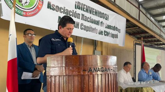 Se levantó el telón de la Feria Ganadera de la Carne y Leche, en Chiriquí