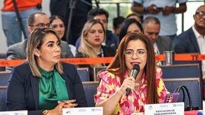 Paridad de género en candidaturas fracciona el debate en las reformas electorales.