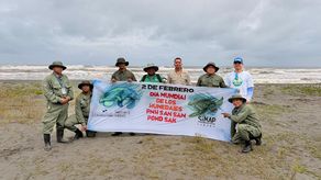 El año 2025 se consolidó como una de las mejores temporadas para la conservación de tortugas marinas en el Parque Nacional Humedal San San Pond Sak, en la provincia de Bocas del Toro, tras la liberación de 14,347 neonatos, como resultado de los esfuerzos de protección y monitoreo en esta área protegida.