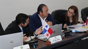 Caja de Ahorros y Banco Nacional sustentan sus vistas presupuestarias