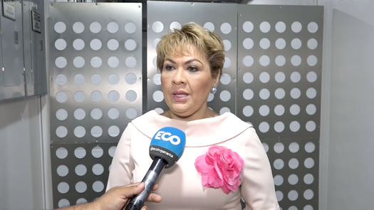 Nellys Herrera, exdirectora del Inamu y dirigente del PRD. Nellys Herrera, exdirectora del Inamu y dirigente del PRD.