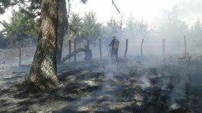 El Minsa en Chiriquí, indicó que la quema controlada de desechos sólidos genera dioxinas y otras sustancias perjudiciales a la salud de las personas y a la calidad del medio ambiente.