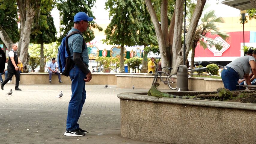 Un video que se viralizó en redes sociales, inició un debate sobre si las iguanas del parque Cervantes, en Chiriquí, son una amenaza o un atractivo turístico. Un video que se viralizó en redes sociales, inició un debate sobre si las iguanas del parque Cervantes, en Chiriquí, son una amenaza o un atractivo turístico. 