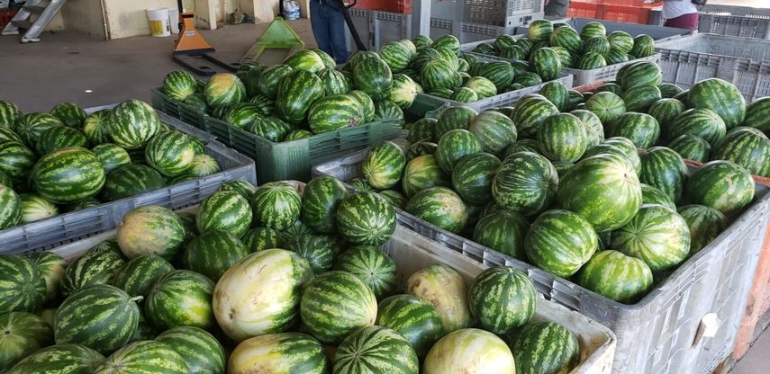 Las bananas frescas dominaron el comercio exterior de exportación de productos agrícolas de Panamá, en términos de peso como de valor, durante el período julio-septiembre de 2024, detalla un informe elaborado por la Dirección de Agronegocios del (MIDA). Las bananas frescas dominaron el comercio exterior de exportación de productos agrícolas de Panamá, en términos de peso como de valor, durante el período julio-septiembre de 2024, detalla un informe elaborado por la Dirección de Agronegocios del (MIDA).