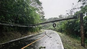 Vías han quedado obstaculizadas por los postes y árboles caídos en Colón.&nbsp;