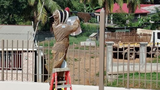 Bomberos piden a la población mantener medidas de prevención. Bomberos piden a la población mantener medidas de prevención.