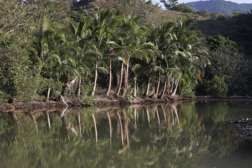 Panam&aacute; reforz&oacute; sus normativas en materia de protecci&oacute;n y conservaci&oacute;n del ambiente.