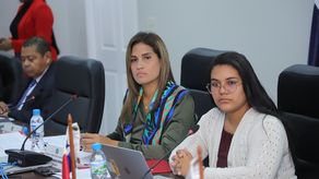 Brenes: Trato a embarazadas en hospitales públicos es inaceptable