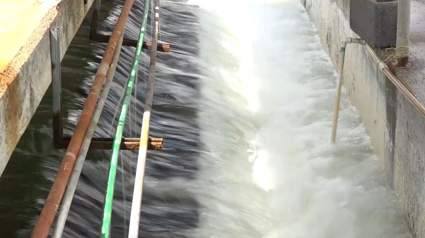 Andrés Pineda por parte del Idaan, explicó que se han tenido que hacer trabajos de mantenimiento preventivo en la planta para optimizar la producción.