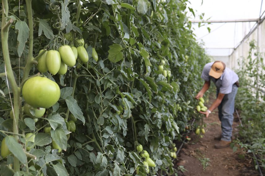 FAO: Es una paradoja, que haya personas con hambre en Latinoamérica