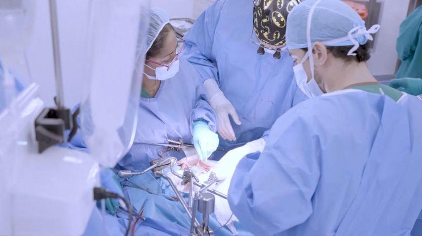Seis pacientes podrán vivir con una mejor esperanza y calidad de vida, incluyendo uno que recibió un corazón, tras la extracción multiorgánica realizada en la Ciudad de la Salud de un donante fallecido que además donó el hígado, riñones y córneas. Seis pacientes podrán vivir con una mejor esperanza y calidad de vida, incluyendo uno que recibió un corazón, tras la extracción multiorgánica realizada en la Ciudad de la Salud de un donante fallecido que además donó el hígado, riñones y córneas.