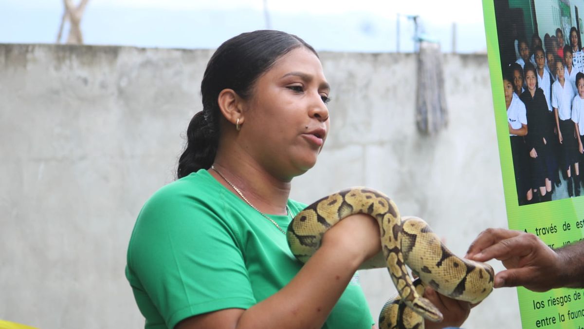 Se realizaron varias actividades en Panamá Oeste. Se realizaron varias actividades en Panamá Oeste.