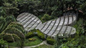 El encierro de un botánico colombiano en su inmenso jardín durante la pandemia