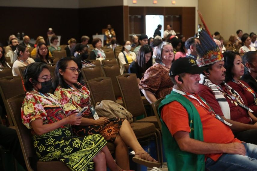 Líderes indígenas de América Latina pidieron este jueves que sus protestas contra proyectos extractivos dejen de ser criminalizadas y perseguidas penalmente. Líderes indígenas de América Latina pidieron este jueves que sus protestas contra proyectos extractivos dejen de ser criminalizadas y perseguidas penalmente.