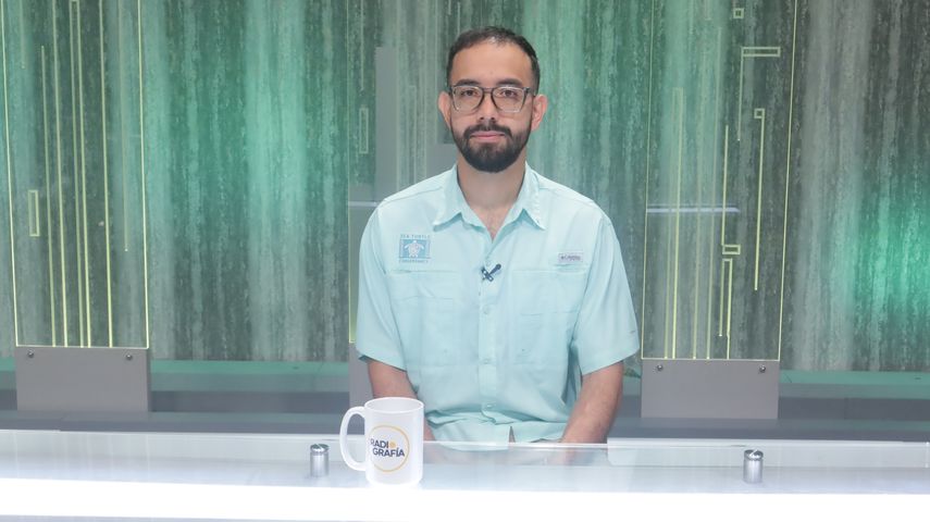 Panamá contribuyó a la extinción de la tortuga carey, advierte ambientalista