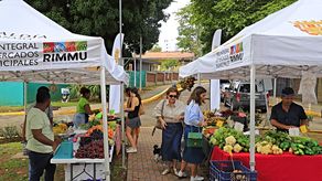 ¡Comida barata! Alcaldía anuncia feria RIMMU por 3 días en Panamá