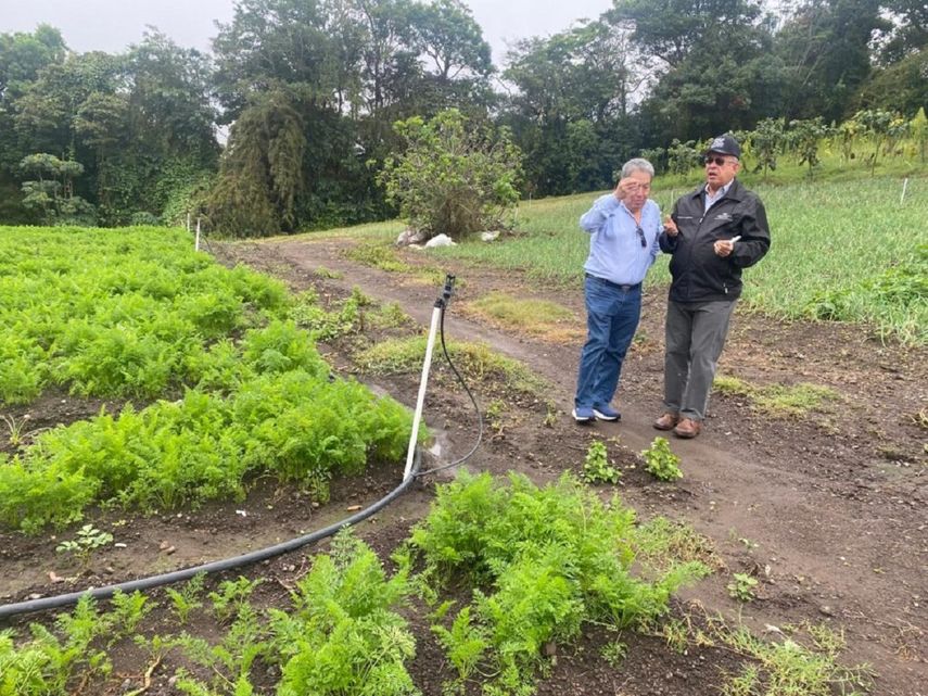 Proyecto del Mida: Sistema de Riego de Alto Bambito. Proyecto del Mida: Sistema de Riego de Alto Bambito.