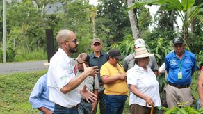 Capacitan a agricultores de Panamá Oeste para aumentar producción sostenible de café