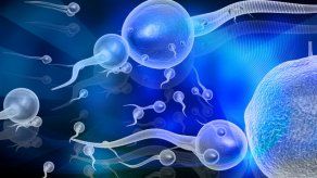 Crean espermatozoides humanos a partir de células de la piel