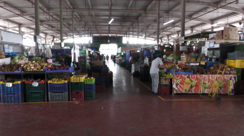 Alzas y bajas en Merca Panamá: El tomate y la lechuga aumentaron de precio
