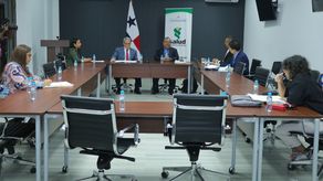 Minsa se reúne con miembros de la Comisión Técnica de Cannabis Medicinal